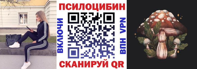 Псилоцибиновые грибы Psilocybine cubensis  Купить  Чернушка 